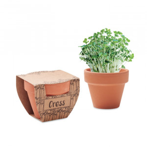 CRESS POT - Nasiona rzeżuchy w doniczce