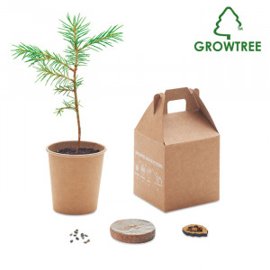 GROWTREE™ - Zestaw sosnowy